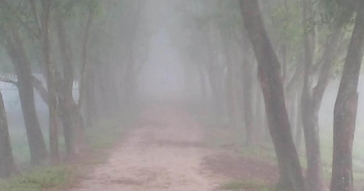 তেঁতুলিয়ায় সর্বনিম্ন তাপমাত্রা নামল ১০ ডিগ্রিতে
