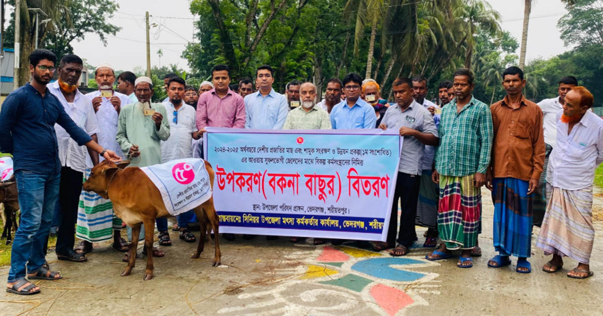ভেদরগঞ্জে ৭৫ জেলের মাঝে বকনা বাছুর বিতরণ