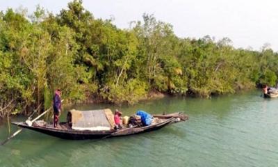 তিন মাস বন্ধের পর খুলছে সুন্দরবন  