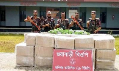 সিলেটে বিজিবির অভিযানে ভারতীয় ওষুধের চালান জব্দ