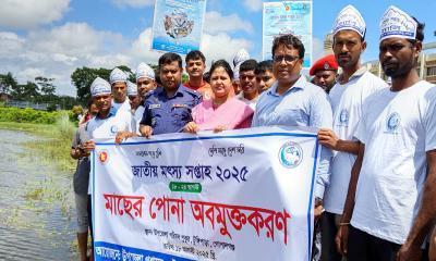 টুঙ্গিপাড়ায় নানা আয়োজনে জাতীয় মৎস্য সপ্তাহ উদ্‌যাপন