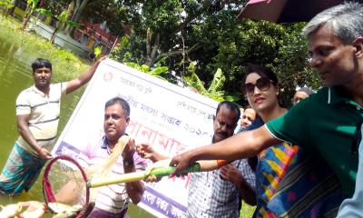ভাঙ্গুড়ায় জাতীয় মৎস্য সপ্তাহের উদ্বোধন