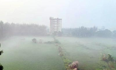 হিমেল বাতাস ও কুয়াশায় বদলে গেল শরতের রূপ