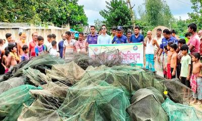 শাজাহানপুরে ৩২টি নিষিদ্ধ চায়না দুয়ারি জাল ধ্বংস
