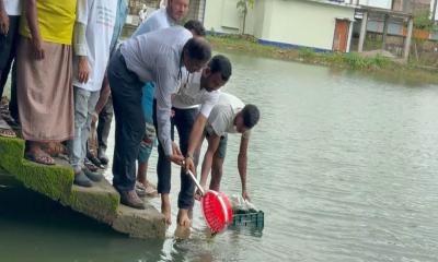 বিএনপির প্রতিষ্ঠাবার্ষিকীতে বৃক্ষরোপণ ও মাছের পোনা অবমুক্ত