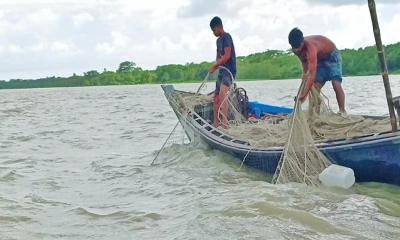 ভরা মৌসুমেও উপকূলীয় জেলা বরগুনা ইলিশ শূন্য