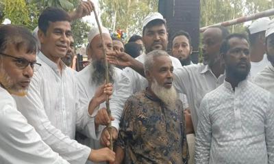 পঞ্চগড়ের বোদায় বিএনপির উদ্যোগে দুই হাজার গাছের চারা বিতরণ