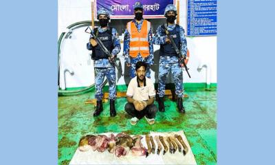 সুন্দরবন থেকে সাড়ে ১০ কেজি হরিণের মাংস ও ৮টি পাসহ শিকারি আটক
