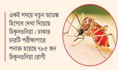 গ্রামেও বাড়ছে ডেঙ্গুর মৃত্যুঝুঁকি