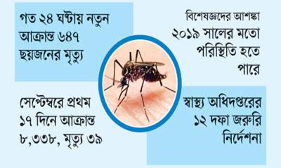 বৃষ্টিতে ডেঙ্গু ভয়াবহতার আশঙ্কা