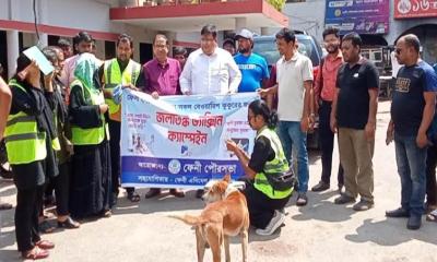 ফেনীতে বেওয়ারিশ কুকুরের জলাতঙ্ক প্রতিরোধে ভ্যাকসিনেশন ক্যাম্পেইন শুরু