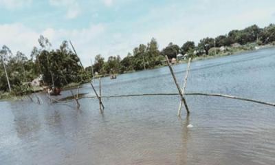 গোয়ালন্দে তিনটি বাঁশের সাঁকোর সহায়তায় চলাচল করছে পাঁচটি গ্রামের মানুষ