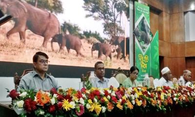 আমি দায়িত্ব নেয়ার পর ১২টা হাতি মরে গেছে