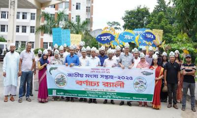 হাবিপ্রবিতে জাতীয় মৎস্য সপ্তাহ উদযাপিত