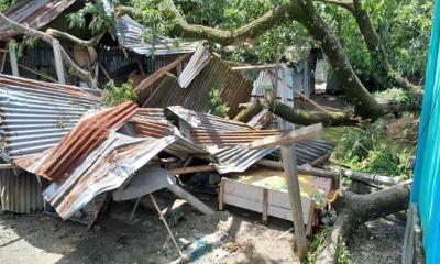 ঈশ্বরগঞ্জে ঝড়ে শতাধিক ঘরবাড়ি বিধ্বস্ত, গাছপালার ব্যাপক ক্ষতি