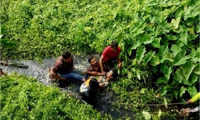 কিশোরগঞ্জে কচুরিপানায় আটকা পড়া দুই ভাইকে জীবিত উদ্ধার