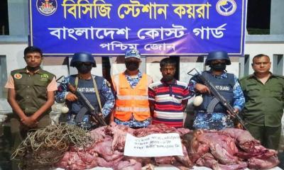 কয়রায় কোস্টগার্ডের অভিযানে বিপুল হরিণের মাংস ও শিকারের ফাঁদ উদ্ধার