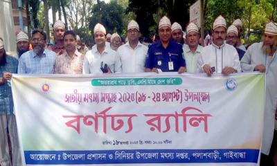 জাতীয় মৎস্য সপ্তাহে পলাশবাড়ীতে র‌্যালি, সভা ও মাছের পোনা অবমুক্তকরণ