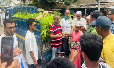 প্রত্যেক এলাকায় নিজ উদ্যোগে বৃক্ষরোপণ করুন