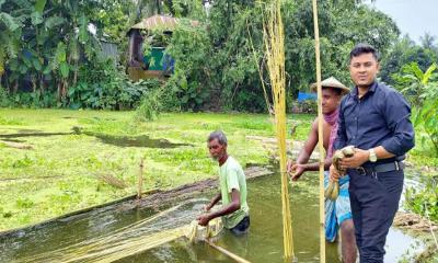 সোনালী আঁশে সাফল্যের হাতছানি নাগরপুরে
