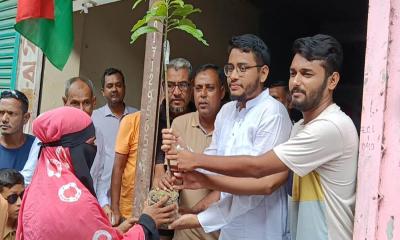 পাবনায় স্বেচ্ছাসেবক দলের প্রতিষ্ঠাবার্ষিকীতে বৃক্ষরোপণ কর্মসূচি