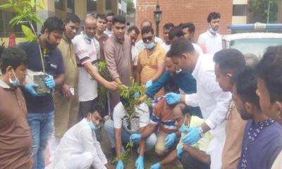 রাজবাড়ীতে স্বেচ্ছাসেবক দলের পরিচ্ছন্নতা অভিযান ও বৃক্ষরোপণ
