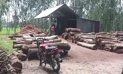 মসজিদের পাশে করাত কলের লাইসেন্স বাতিলের দাবি, বিভাগীয় তদন্ত টিম সাঘাটায়