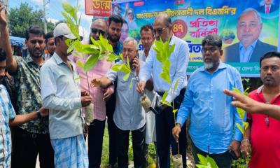 শরীয়তপুরে বিএনপির প্রতিষ্ঠাবার্ষিকীতে চারা বিতরণ ও মাছ অবমুক্ত