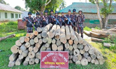 বিজিবির অভিযানে বাঘাইছড়িতে অবৈধ সেগুন কাঠ জব্দ
