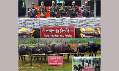সিলেট তামাবিল সীমান্তে সাড়ে ৩ কোটি টাকার ভারতীয় পণ্য জব্দ