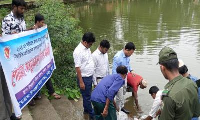 সন্দ্বীপে মাছের পোনা অবমুক্তকরণ