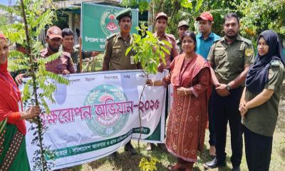 তালায় আনসার-ভিডিপির উদ্যোগে বৃক্ষরোপণ কর্মসূচি