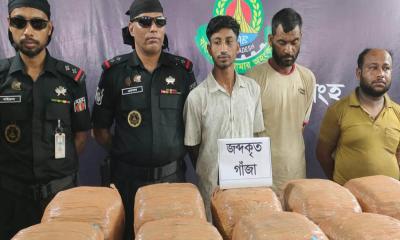 টাঙ্গাইলে তুলার বস্তা থেকে ৪৯ কেজি গাঁজা উদ্ধার