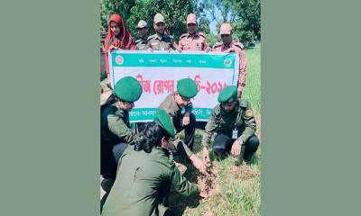 নবাবগঞ্জে আনসার ও গ্রাম প্রতিরক্ষা বাহিনীর উদ্যোগে তাল বীজ রোপণ