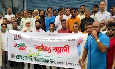 ভেড়ামারায় স্বেচ্ছাসেবক দলের উদ্যোগে র‌্যালি
