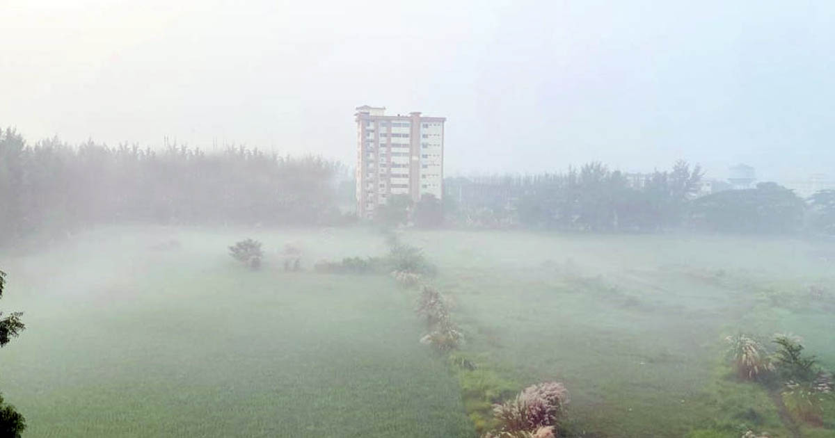 হিমেল বাতাস ও কুয়াশায় বদলে গেল শরতের রূপ