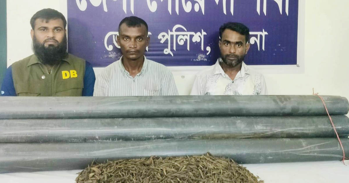 পাবনায়  ১৮ কেজি গাঁজাসহ আটক ২