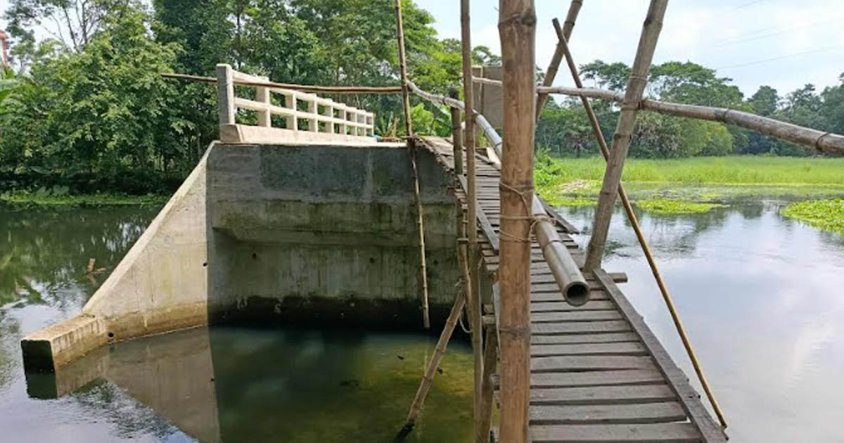 মই বেয়ে পার হতে হয় ২৭ লাখ টাকার সেতু