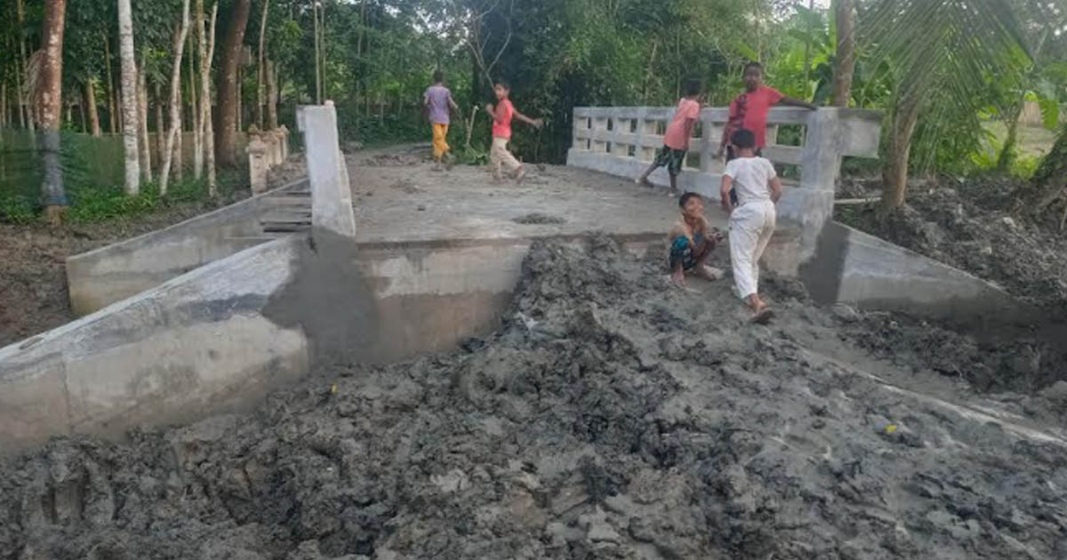 বাবুগঞ্জে হস্তান্তরের আগেই ব্রিজে ফাটল