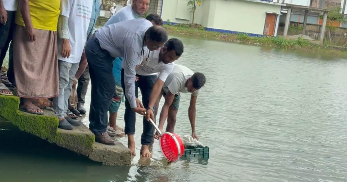 বিএনপির প্রতিষ্ঠাবার্ষিকীতে বৃক্ষরোপণ ও মাছের পোনা অবমুক্ত