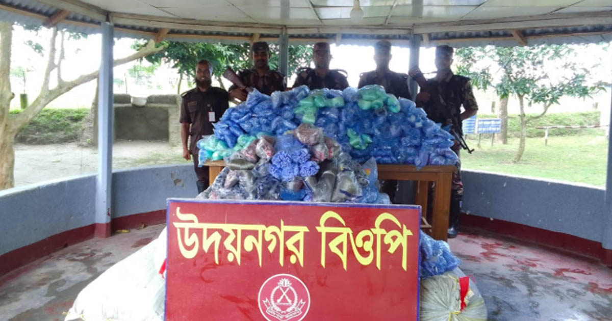 দৌলতপুর সীমান্তে বিজিবির টানা অভিযানে ২১ লাখ টাকার কারেন্ট জাল ও মাদক জব্দ