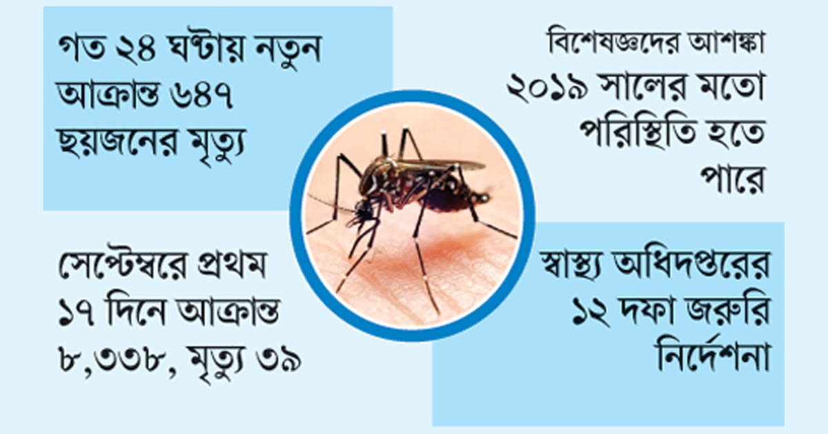 বৃষ্টিতে ডেঙ্গু ভয়াবহতার আশঙ্কা