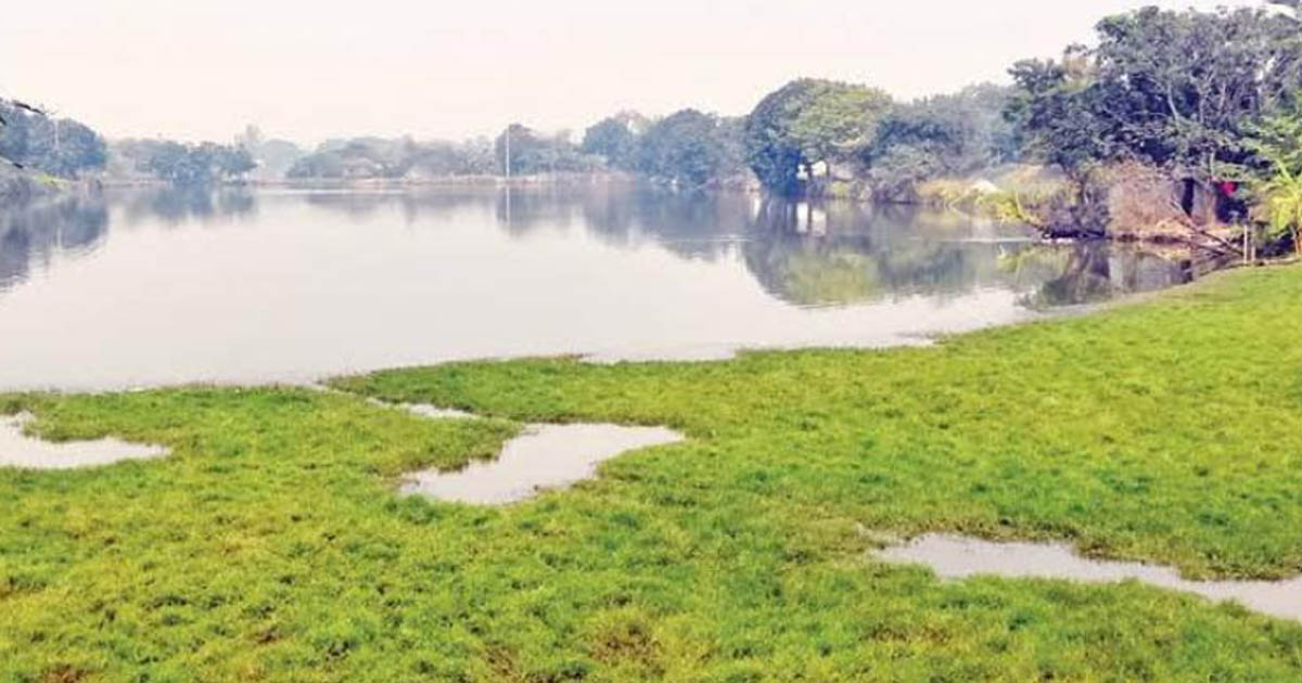 গোদাগাড়ীতে সাড়ে ৪০০ খাস পুকুরের রিট বাতিল, সরকার পাবে কোটি টাকার রাজস্ব