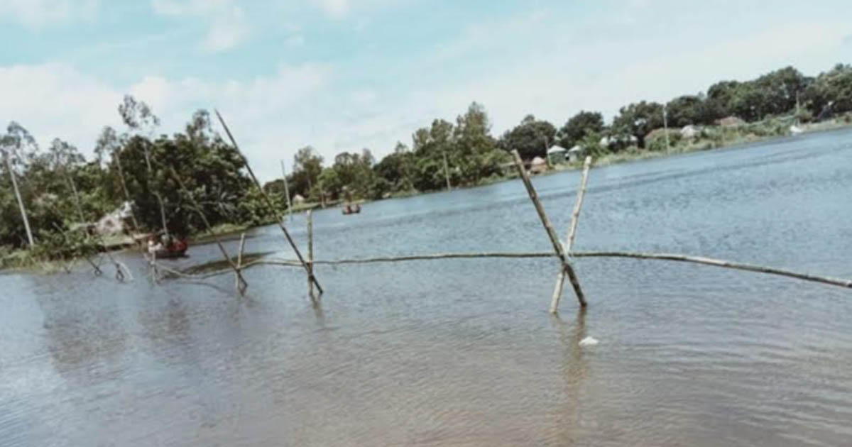 গোয়ালন্দে তিনটি বাঁশের সাঁকোর সহায়তায় চলাচল করছে পাঁচটি গ্রামের মানুষ