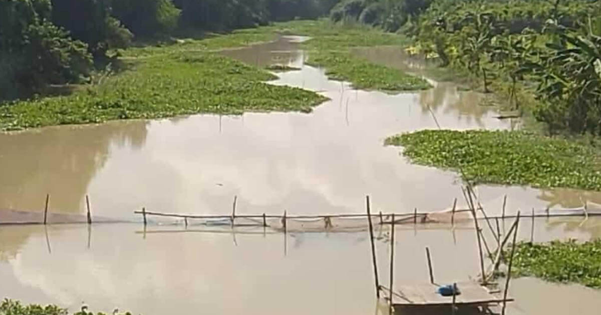 ইউএনওর হস্তক্ষেপে খোকসা হাওর নদীর বাঁধ উদ্ধার