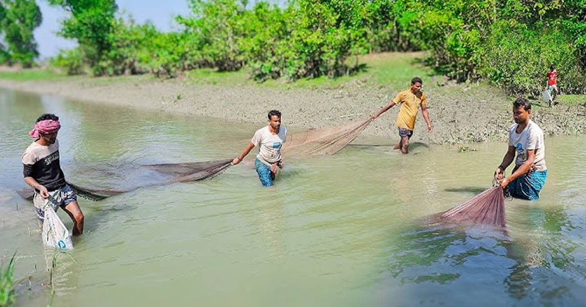 বিষে ভাসছে সুন্দরবনের নদী-খাল, নিঃশেষ হচ্ছে প্রাণ