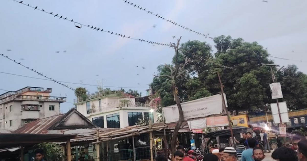 নড়াইলে পাখির আবাসস্থল নষ্ট করার অভিযোগে ব্যবসায়ীকে জরিমানা