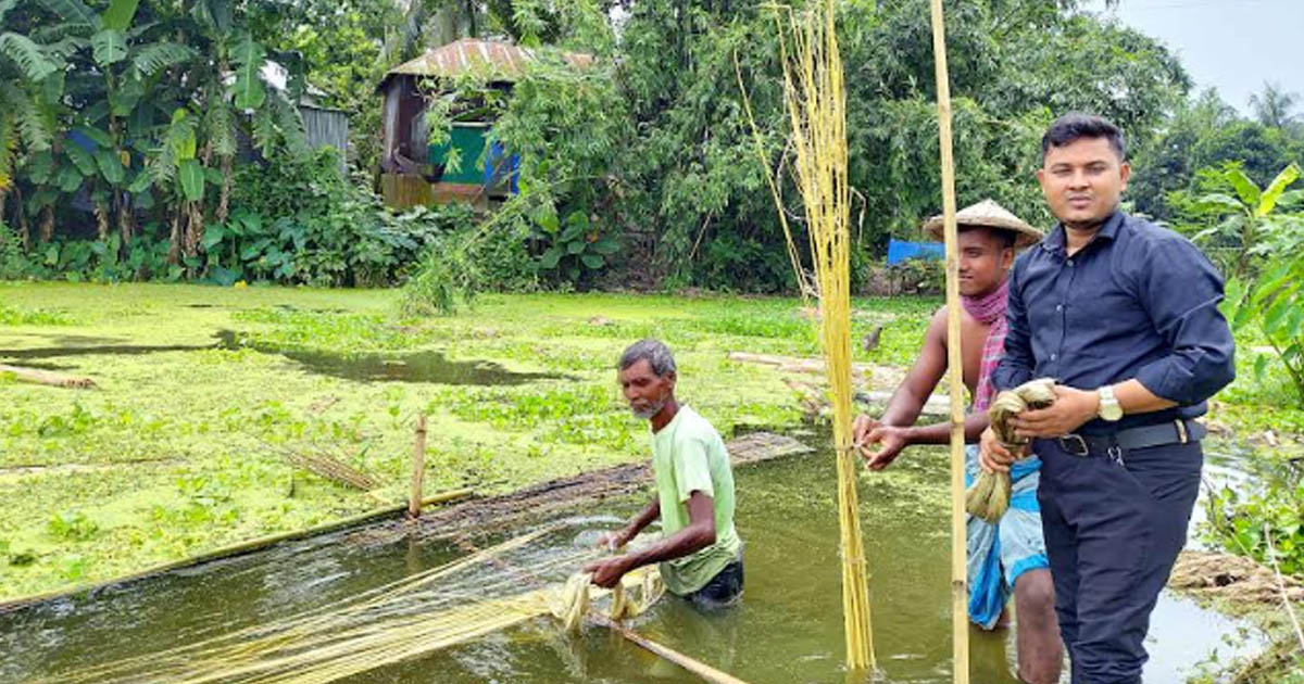 সোনালী আঁশে সাফল্যের হাতছানি নাগরপুরে