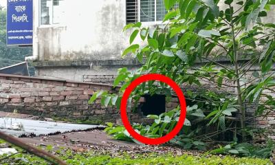 বাগাতিপাড়ায় রাতের অন্ধকারে দোকানের ইট খুলে চুরি