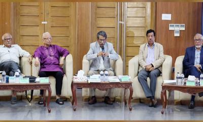 উচ্চকক্ষ প্রতিষ্ঠার পদ্ধতি নিয়েও মতভেদ